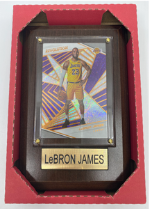 NBA Plaque with card 4x6 Los Angeles Lakers - Lebron James (Randomly Selected, May Not Be Pictured)
