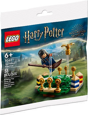 LEGO® Harry Potter Quidditch Practice 30651 (55 Pieces)