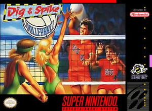 Dig and Spike Volleyball - SNES (Pre-owned)