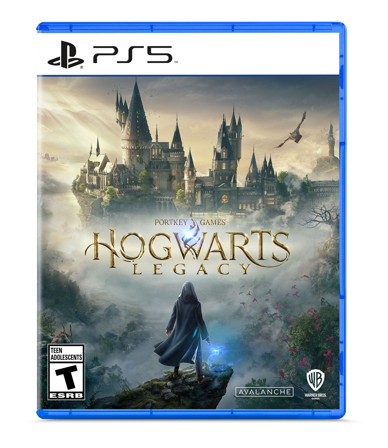 Hogwarts Legacy - PS5 (Pre-owned)