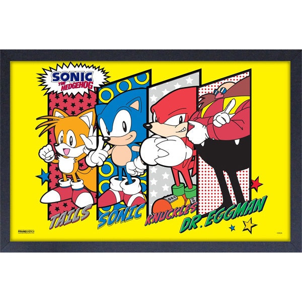 Sonic the Hedgehog Character Lineup 11″ x 17″ Framed Print[Pyramid America]