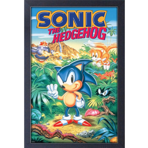 Sonic the Hedgehog 3 Game Cover 11″ x 17″ Framed Print [Pyramid America]